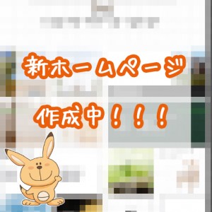 NEWHP